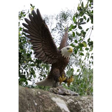 Design Toscano Majestic Mountain Eagle Garden Statue & Reviews